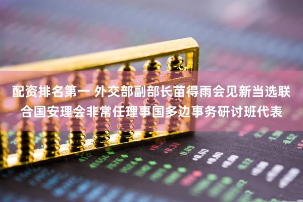 配资排名第一 外交部副部长苗得雨会见新当选联合国安理会非常任理事国多边事务研讨班代表