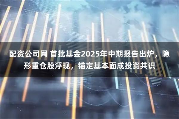 配资公司网 首批基金2025年中期报告出炉，隐形重仓股浮现，锚定基本面成投资共识